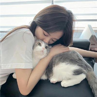 深夜中的企鹅